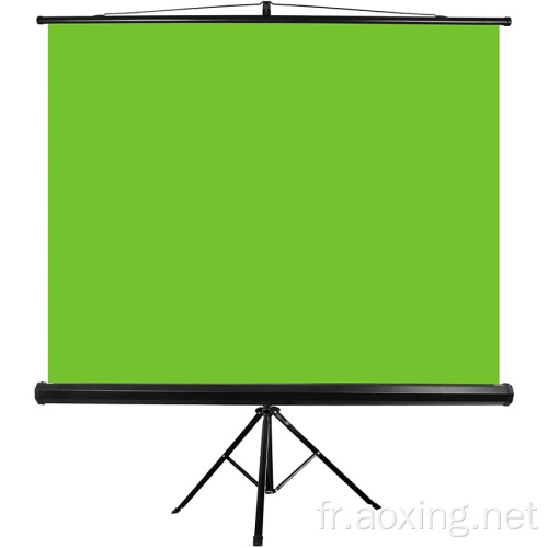 Chrome Key Green Screen Background Stand Green Screen